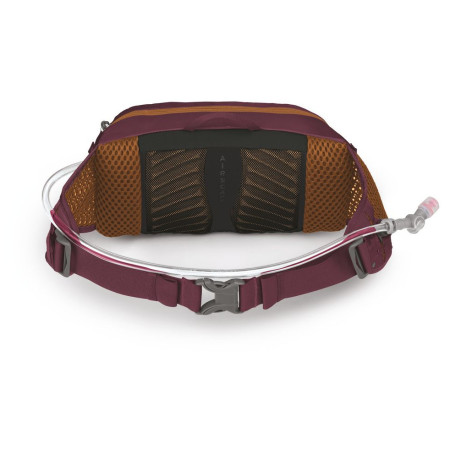 Borsetă Osprey Seral 4