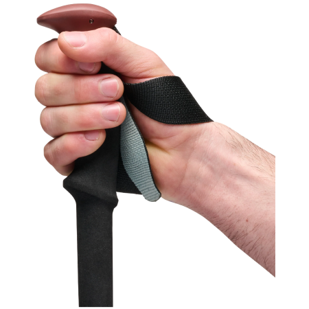 Bețe de trekking Black Diamond Trail Trekking Poles