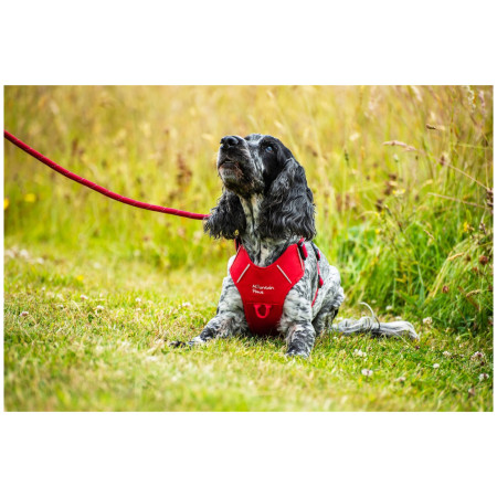 Ham pentru câini Mountain Paws Dog Harness