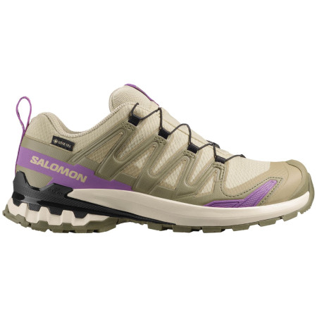 Încălțăminte turistică femei Salomon Xa Pro 3D V9 Gore-Tex
