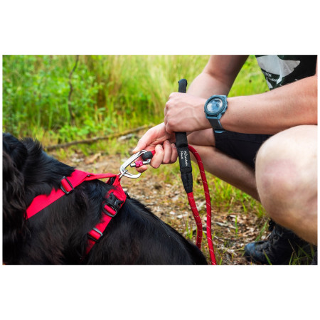 Lesă pentru câini Mountain Paws Rope Dog Lead