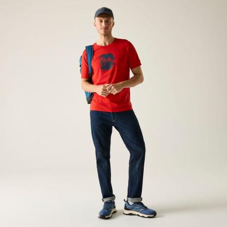 Tricou bărbați Regatta Cline IX