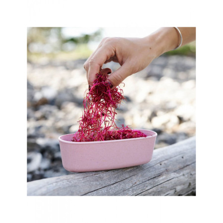 Cutie Light My Fire Oval 2-pack