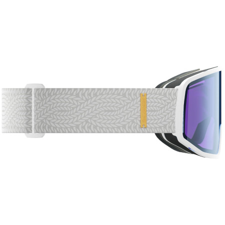 Ochelari de schi Salomon Sentry Pro S Sigma Photo