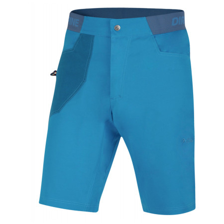 Pantaloni scurți bărbați Direct Alpine Campus Short 2022