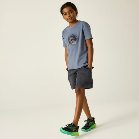 Tricou copii Dare 2b Trailbazer III Tee Mercury