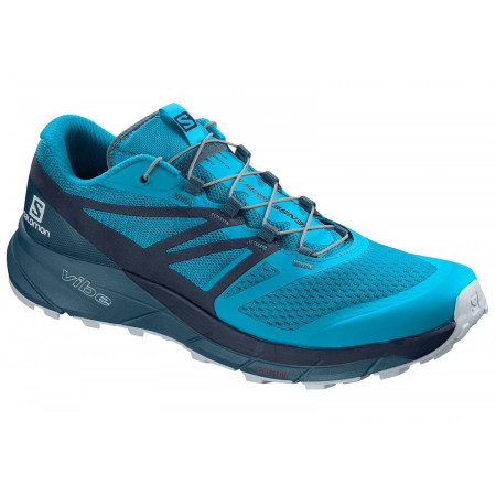 Încălțăminte bărbați Salomon Sense Ride 2 albastru