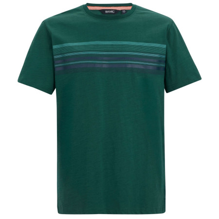 Tricou bărbați Regatta Rendro verde Mediterranea