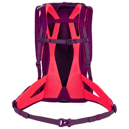 Rucsac Salewa Alp Trainer 20 Ws