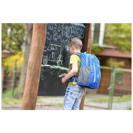 Ghiozdan clase primare Boll School Mate 20 Crabs