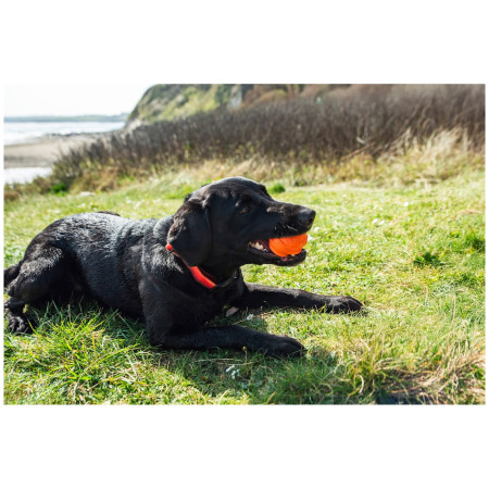Jucărie pentru câini Mountain Paws Dog Wave Treat Ball Dispenser
