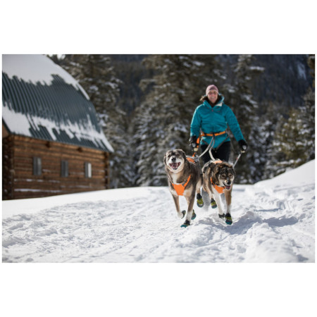 Ham pentru câini Ruffwear Omnijore Joring System