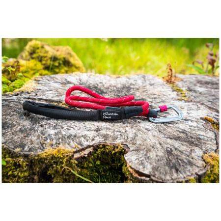 Lesă pentru câini Mountain Paws Rope Dog Lead