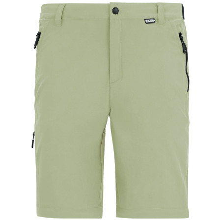 Pantaloni bărbați Regatta Anti-Insect Travel Light Cargo
