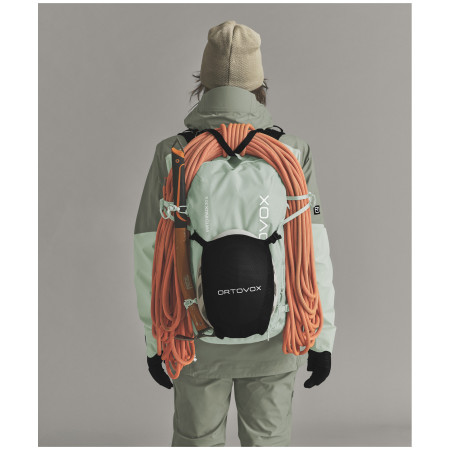 Rucsac pentru schi alpin Ortovox Switchback 30 S