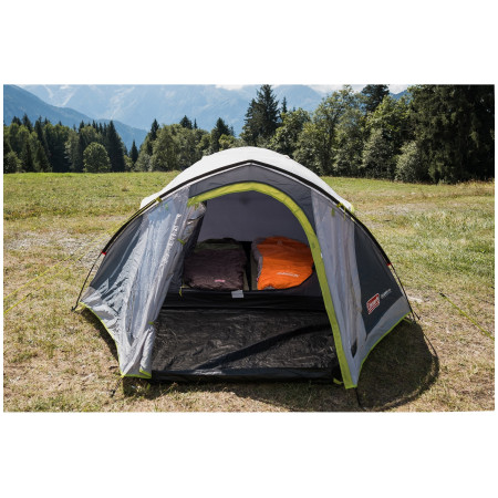 Cort Coleman Darwin 4+