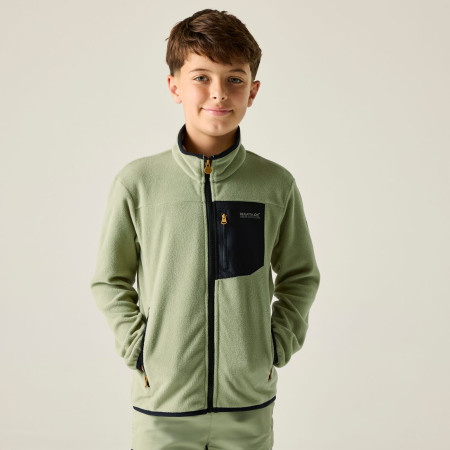 Hanorac copii Regatta Junior Frankie F/Z Light Sage