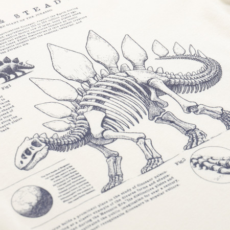 Tricou copii Alpine Pro Ecco 2