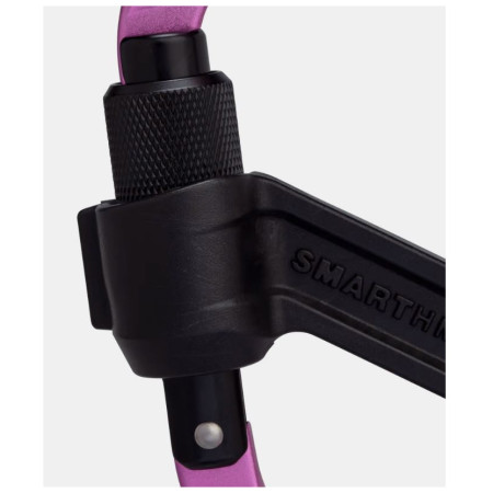 Carabinieră Mammut Smart HMS 2.0 Screwgate Carabiner