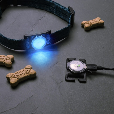 Lumină LED pentru câini Nite Ize NiteDog™ Rechargeable Pet Light