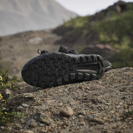 Încălțăminte femei Adidas Terrex Anylander W