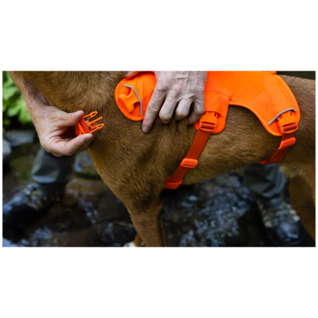 Ham pentru câini Ruffwear Web Master™ Harness