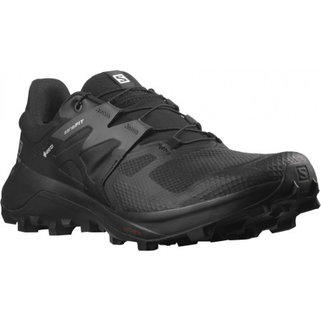Încălțăminte bărbați Salomon Wildcross 2 Gore-Tex negru