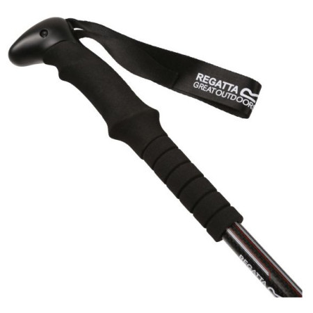 Bețe de trekking Regatta CarbonWalkPlePair