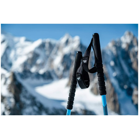 Bețe de schi alpinism Black Crows Trios Freebird