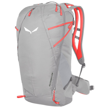 Rucsac femei Salewa Mtn Trainer 2 22 W gri Alloy