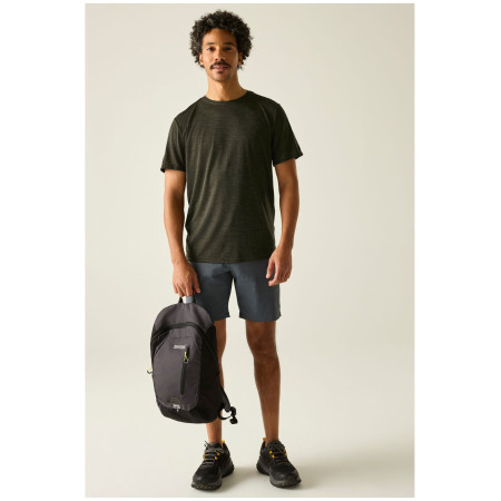 Tricou bărbați Regatta Fingal Edition