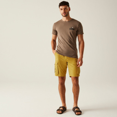 Pantaloni scurți bărbați Regatta Shorebay Shorts II