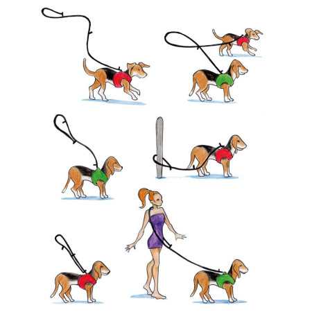 Lesă pentru câini Curli Adjustable Leash Nylon