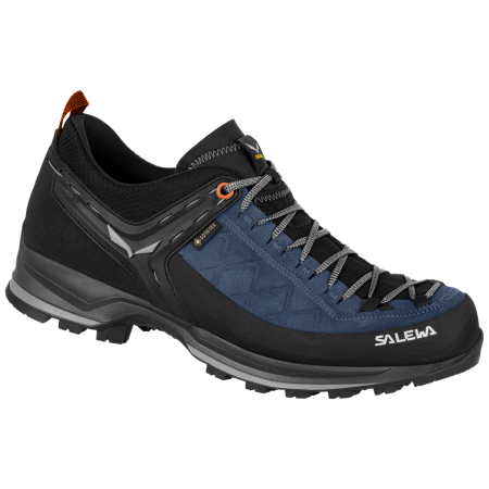 Încălțăminte bărbați Salewa Ms Mtn Trainer 2 Gtx