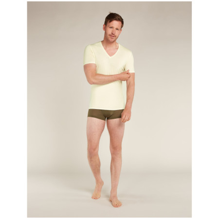 Tricou bărbați Icebreaker Mens Anatomica SS V