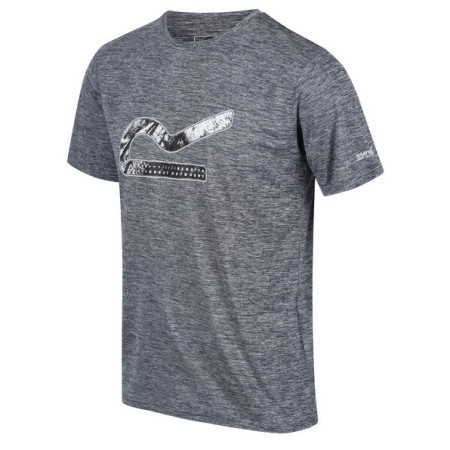 Tricou bărbați Regatta Fingal VI gri