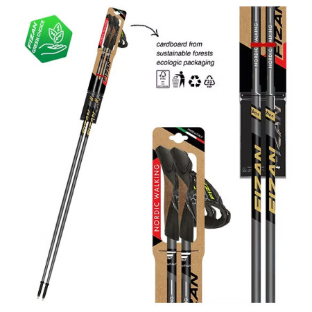 Bețe Nordic Walking Fizan NW Runner