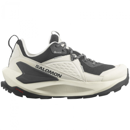 Încălțăminte femei Salomon Elixir Gore-Tex