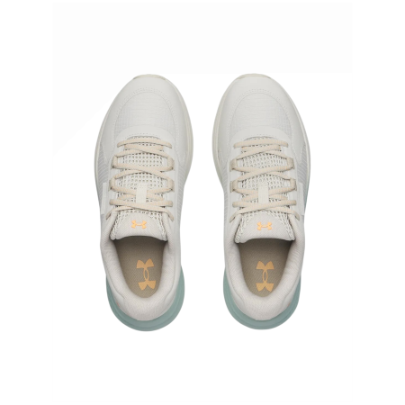 Încălțăminte de alergat pentru femei Under Armour W Charged Bandit Tr 3