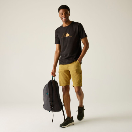 Pantaloni scurți bărbați Regatta Ruwan Shorts