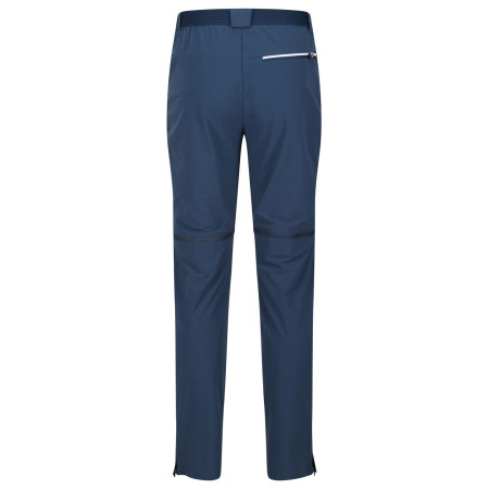 Pantaloni bărbați Regatta Mountain Z/O Trs