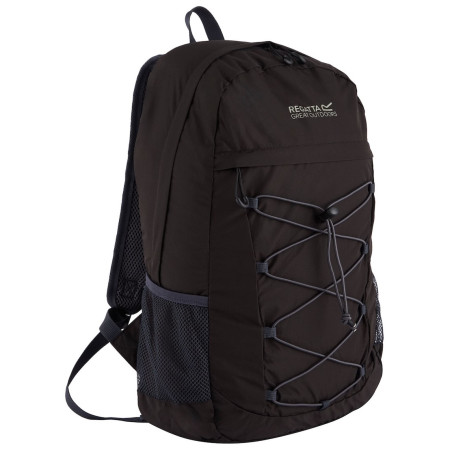 Rucsac pliant Regatta Ultralite Packaway Backpack 2L