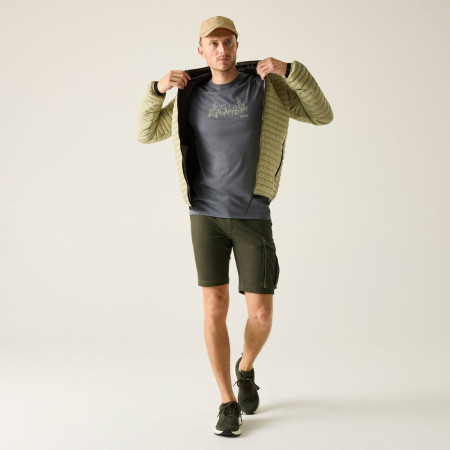 Pantaloni scurți bărbați Regatta Bendrick Shorts