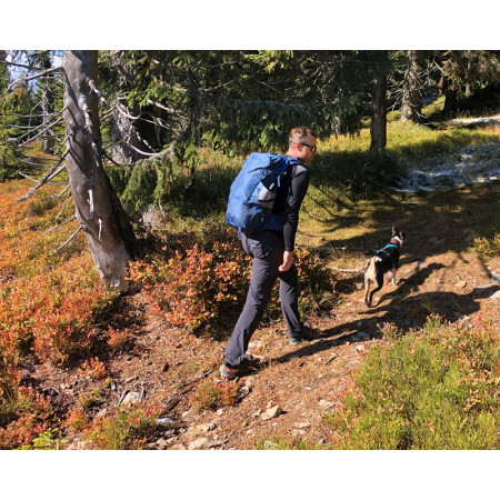 Rucsac Pinguin Vector 35