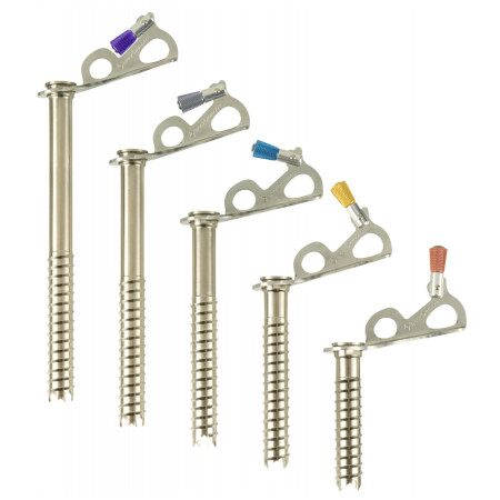 Șurub pentru gheață Black Diamond Express Ice Screw 16 cm