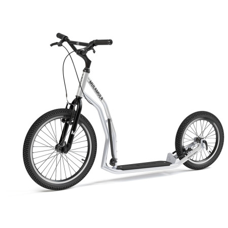 Trotinetă Yedoo Mula Y40 argintiu silver