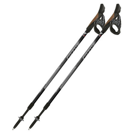 Bețe Fizan NW Speed