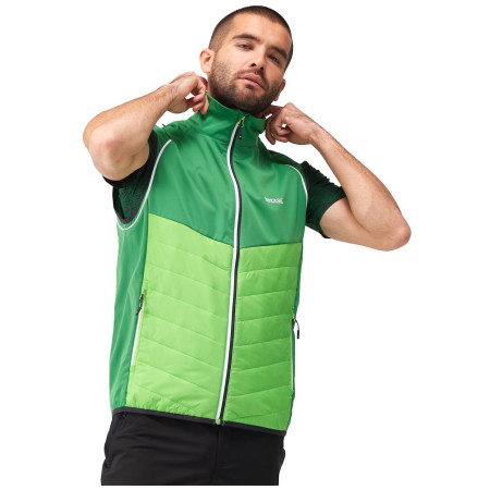 Geacă bărbați Regatta Steren Hybrid