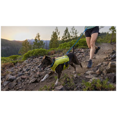 Lesă cu amortizor Ruffwear Trail Runner™ Leash