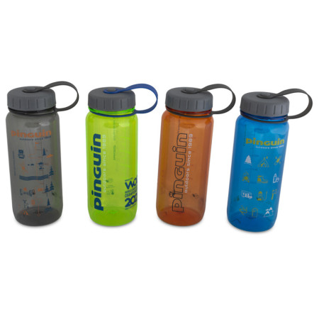Sticlă Pinguin Tritan Slim Bottle 0,65 l